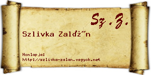 Szlivka Zalán névjegykártya