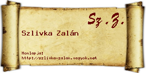 Szlivka Zalán névjegykártya
